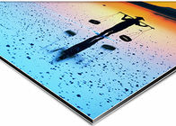 External Wall Polyester Coating UV Printable 5mm ACP Panel Sheet