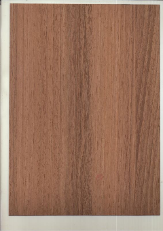 Wooden Color PE Core Acp Wall Cladding Unbreakable Coating Finish